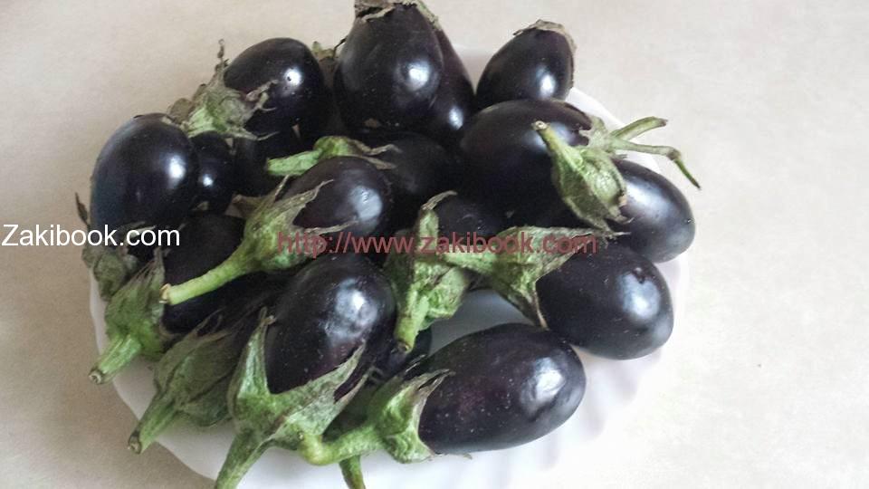 طريقة عمل المقدوس