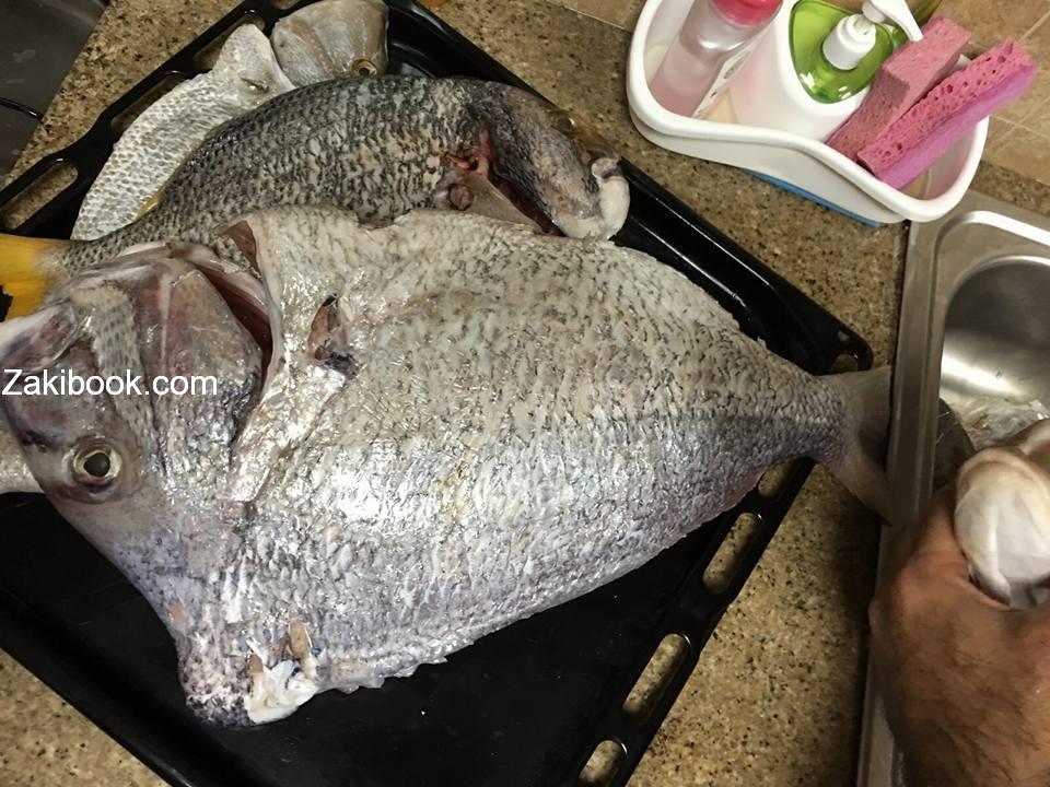 12417698_539113749603057_7055853974723253842_n