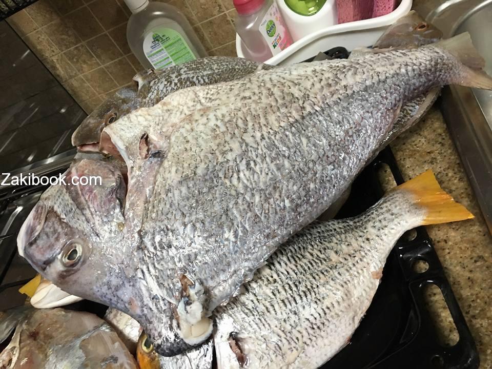 12508721_539113806269718_430522207242966553_n