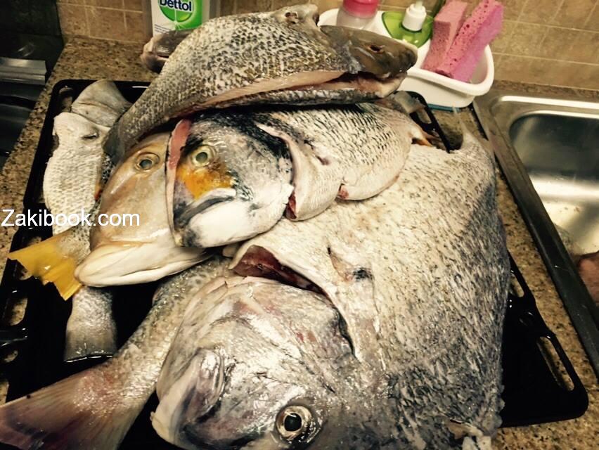 12510393_539113709603061_4312828256010172883_n