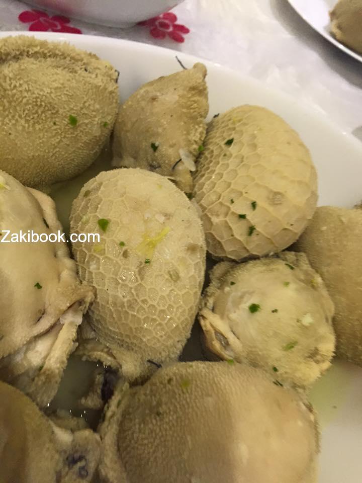 12742605_1703437746565335_3786918450402074200_n