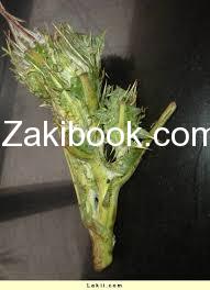 12509308_544487365718204_6967083506447413810_n