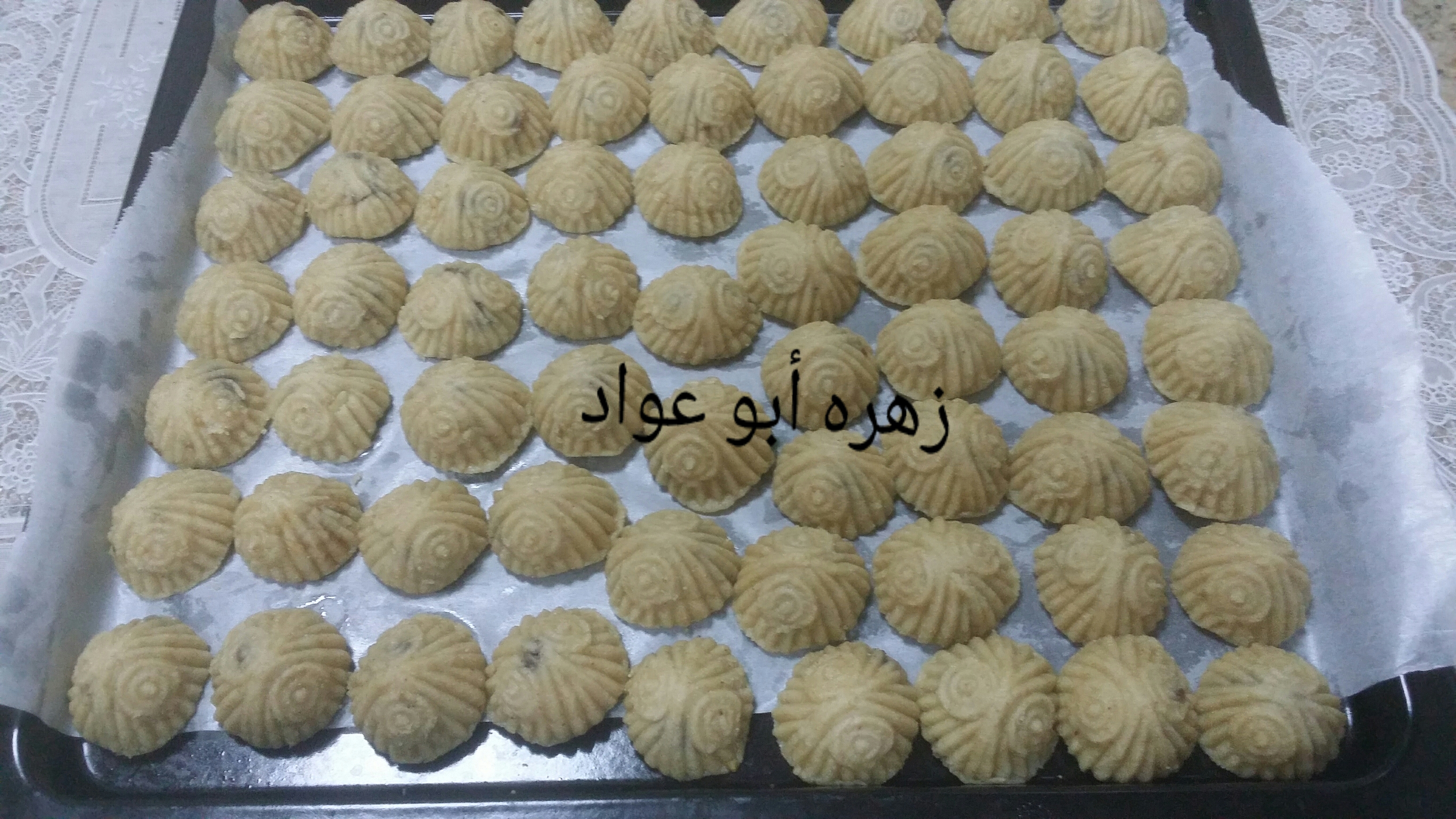 ٢٠١٦٠٦٣٠_٠٦٣٣٤٨_0