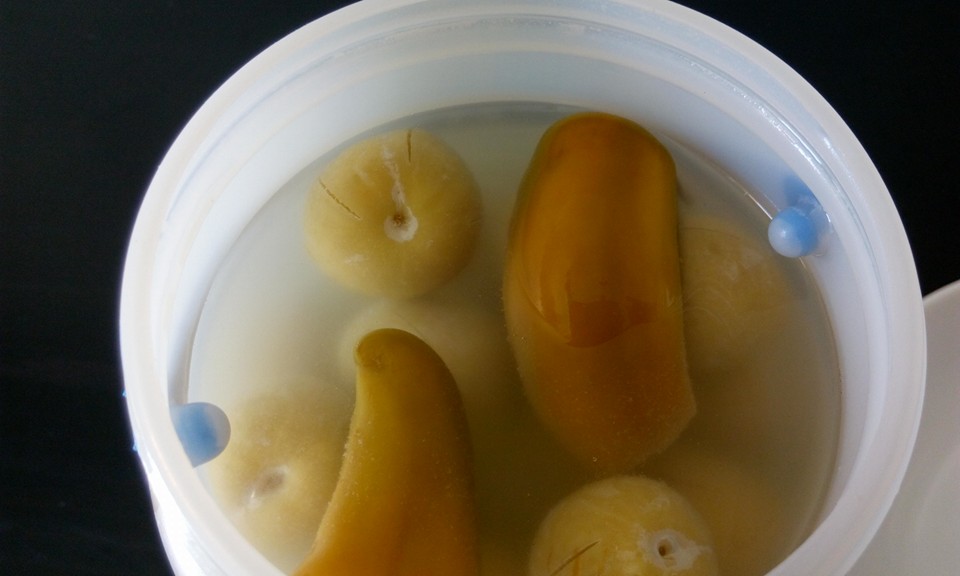 مخلل البرقوق الأخضر روعة لازم تجربوه