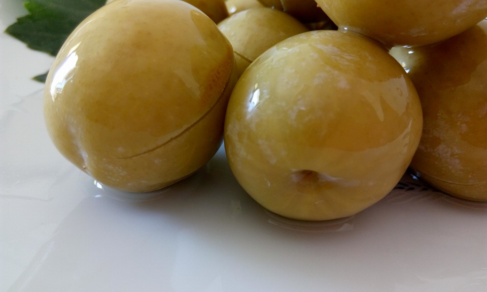 13343023_1609586146023376_7038145553335391254_n