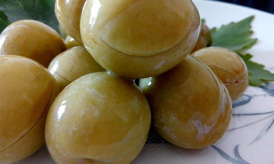 13344752_1609585856023405_7034090672362513364_n