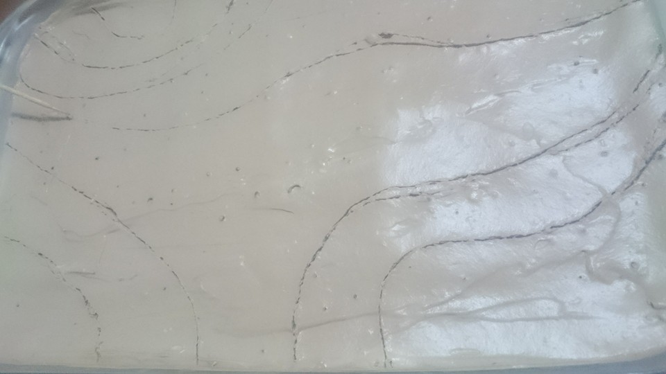 13697274_528989233969947_4612855803271141915_n