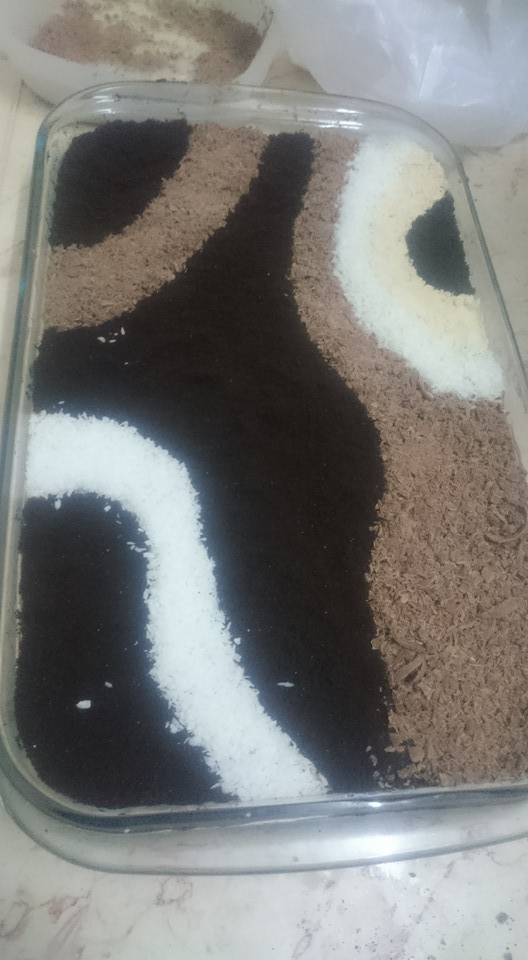 13726609_528989217303282_5201030214037169468_n