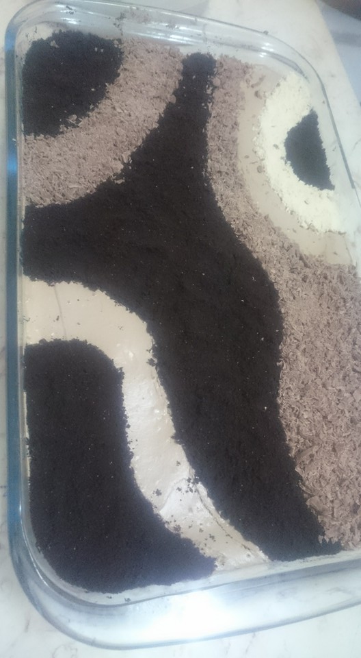 13726780_528989203969950_2282887919095437055_n