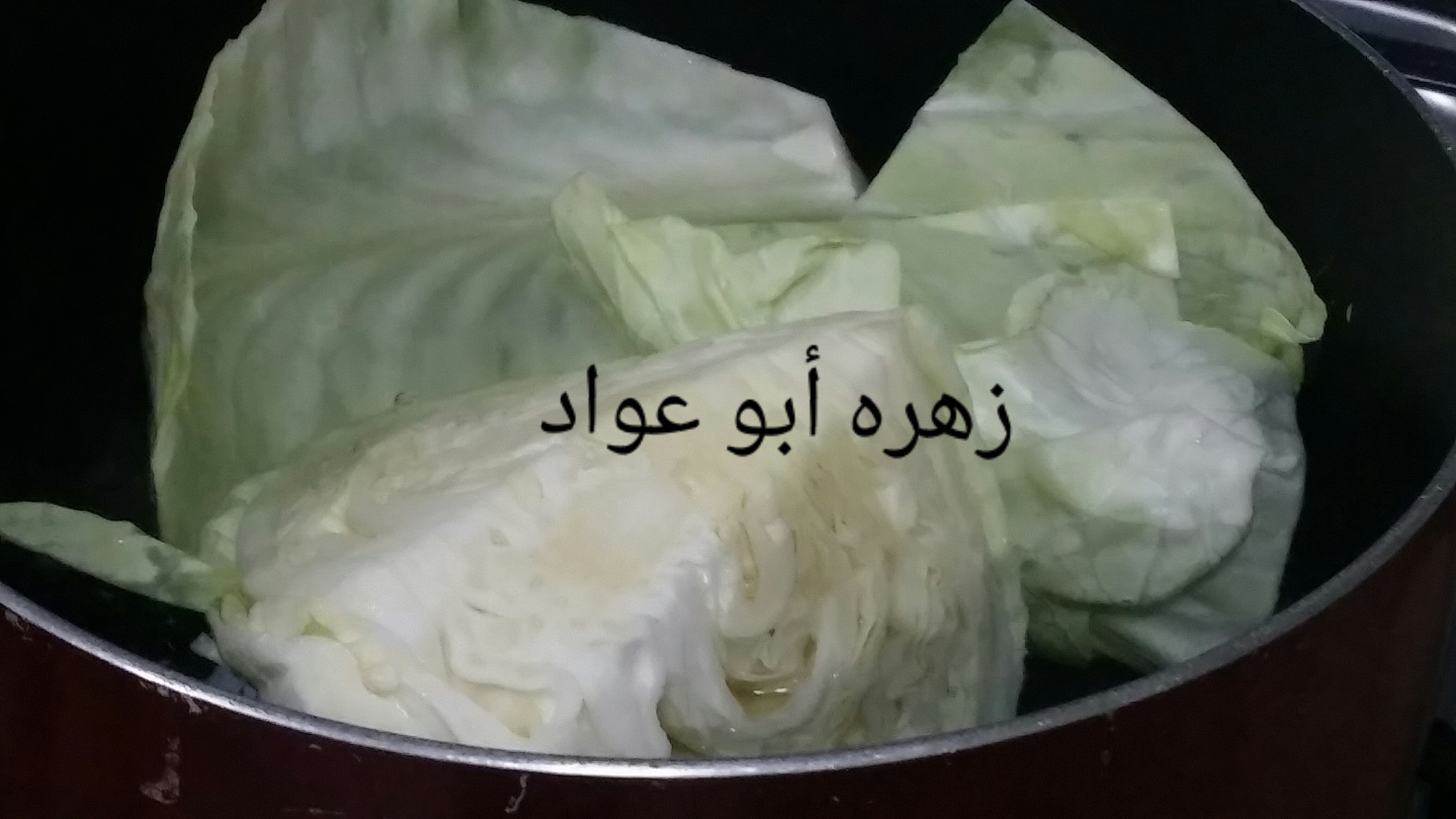 ٢٠١٦٠٧٢٠_٢١٠١٢٥_0