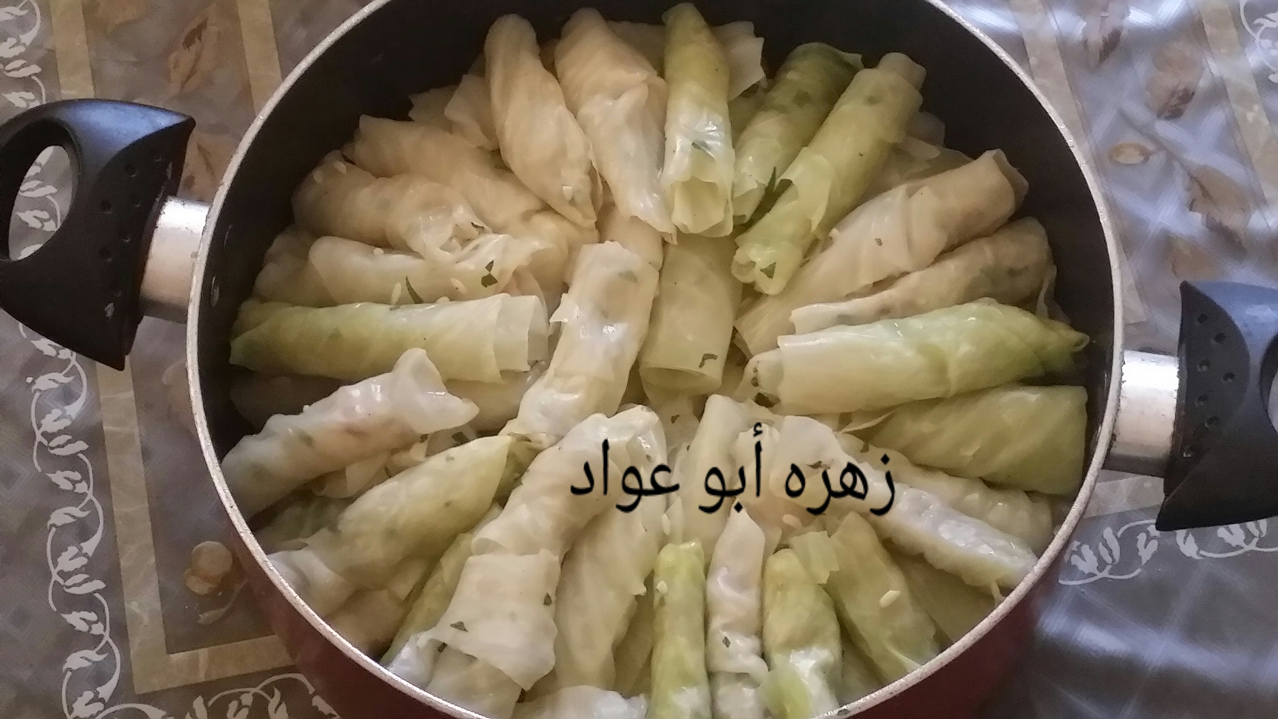 ٢٠١٦٠٧٢١_١٠٥٩٥١_0