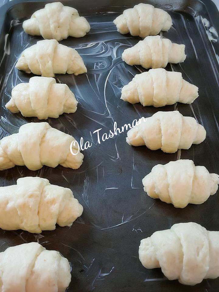 13921187_1270529162981096_7395561709103469408_n