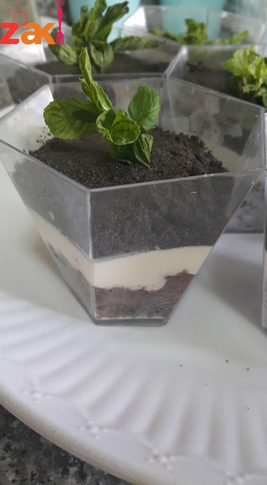 14117722_1756300231301639_1009068047799432093_n