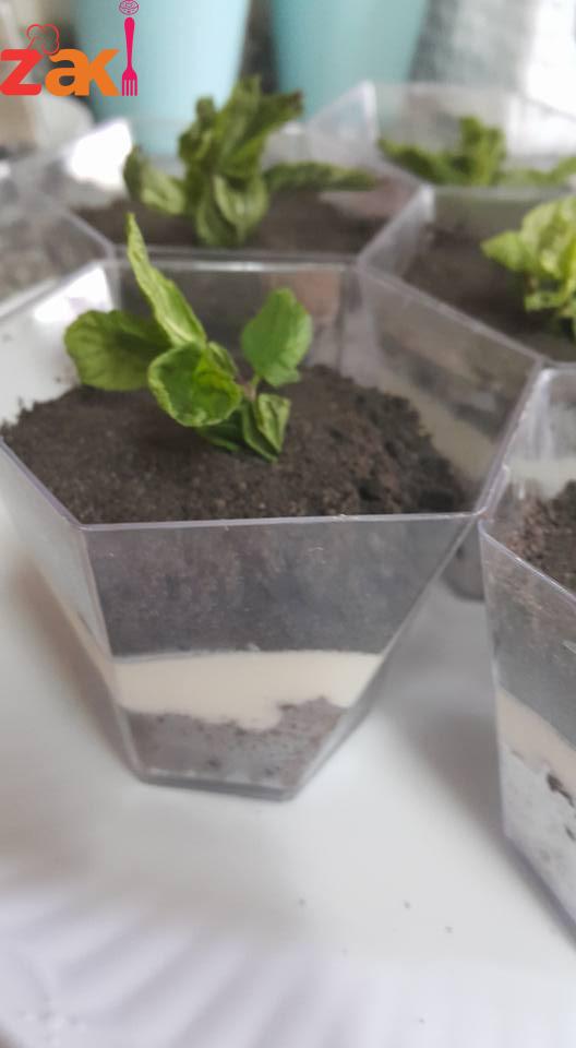 14224692_1756300214634974_3836575609669191525_n