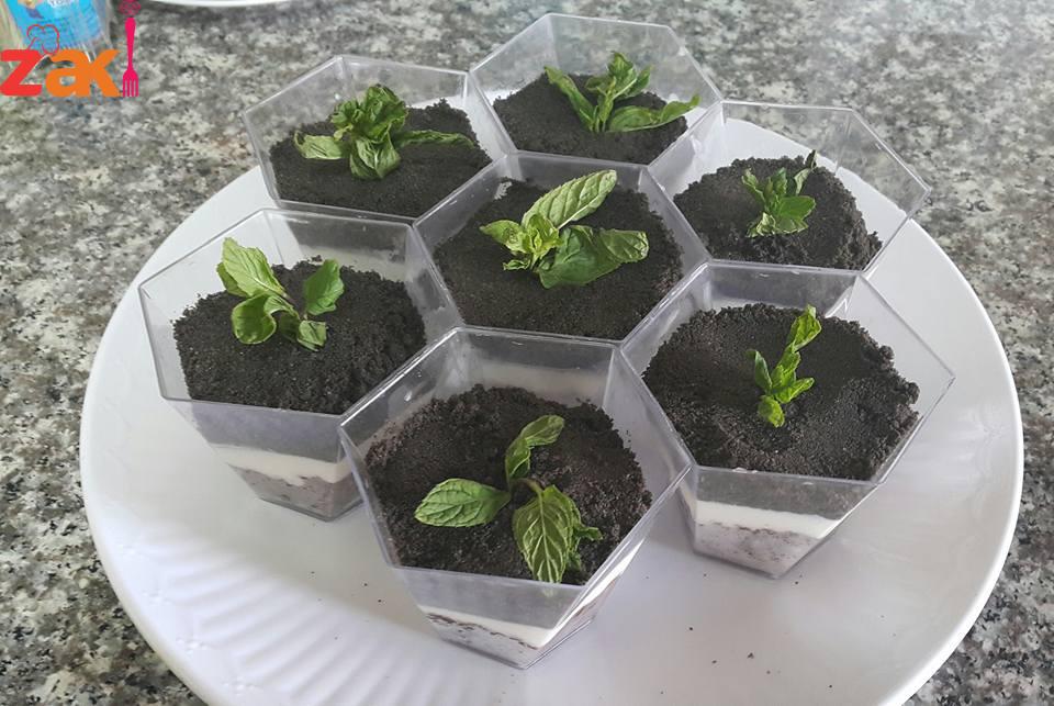 14232437_1756300197968309_7541153575748116712_n