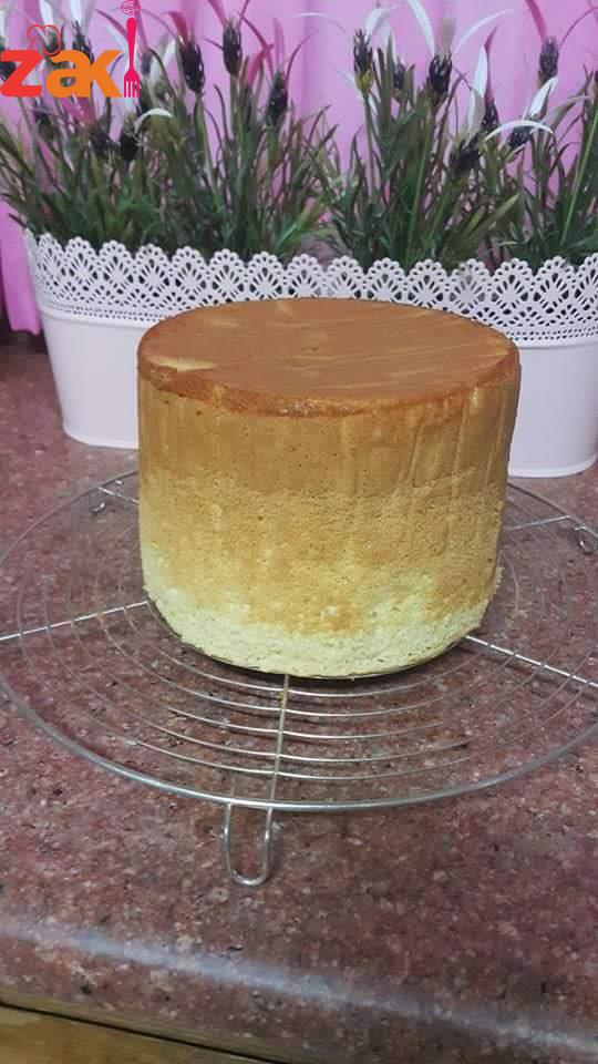 15228139_1819553631625424_1090921802_n