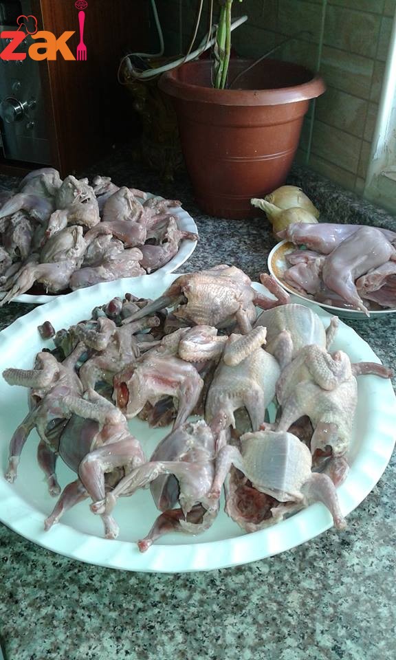 17198311_1297624636990110_2000040442_n