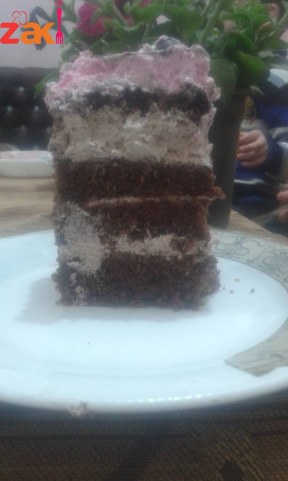 ‫17102042_1882742245337511_907531630_n - نسخة