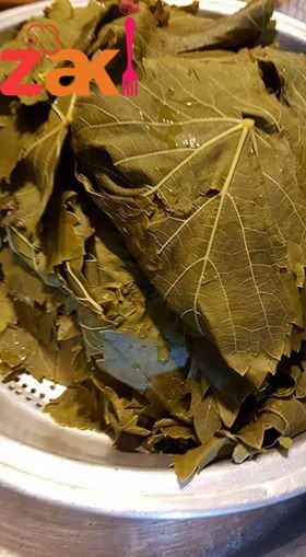 19477870_1517659728279744_1953971424_n