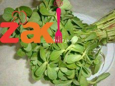 مين بعرف البقلة لو ما بتعرفها ادخل وشوف هالكنز من الفوائد