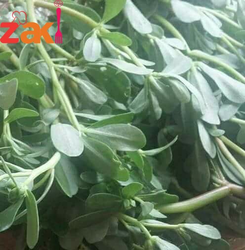 هيا بنا يا روواد زاكي نتعرف ما هو سر نبات البقلة