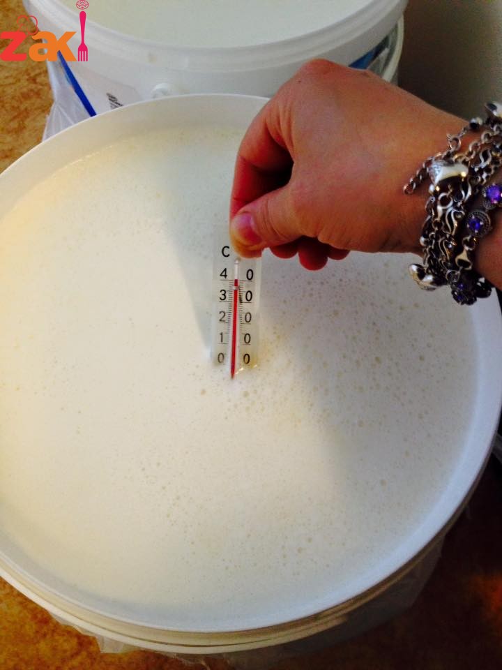 13418853_1757786527769690_3497393345387288025_n