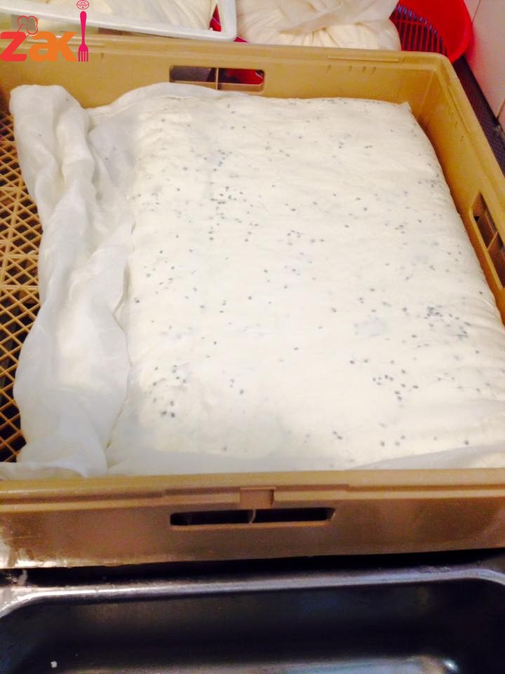 13450858_1757786814436328_2990594122595508037_n