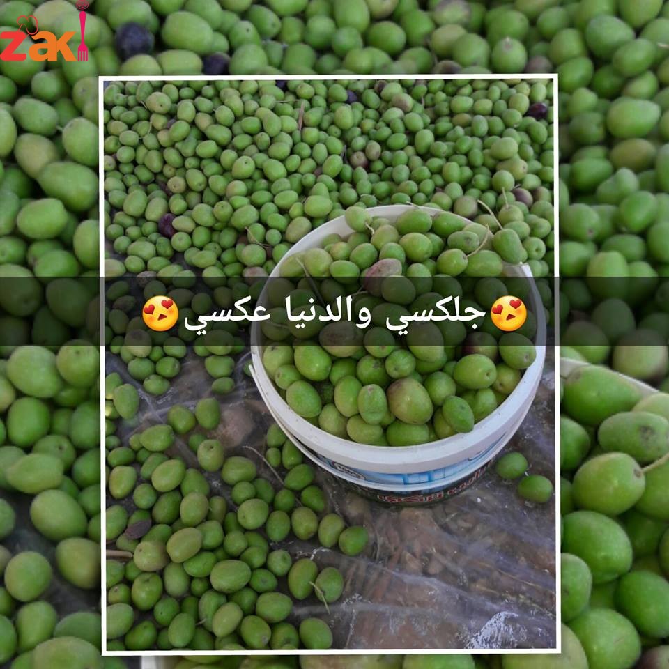 22549696_1422546164530707_2098917330536292955_n