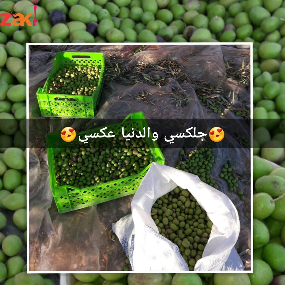 22552299_1422546087864048_4537519145075641420_n