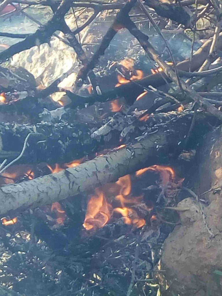 فطور وغدا عالحطب بدفا الشمس بين الخضار والشجر