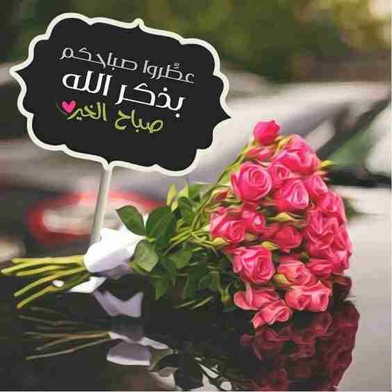 جروب صبايا زاكي زاكي