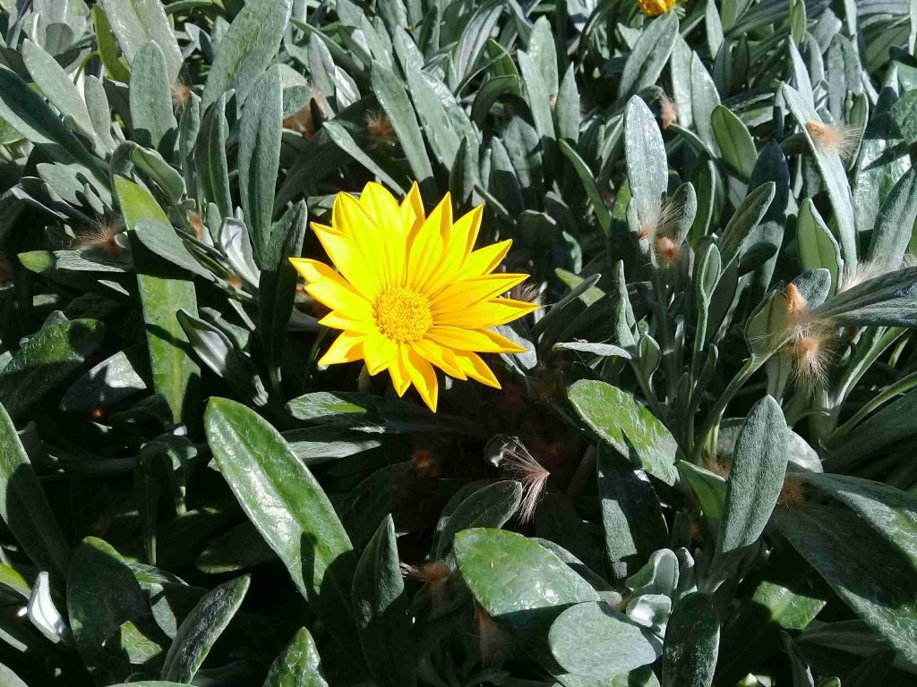 جوله في حديقه بيتنا 😍😍